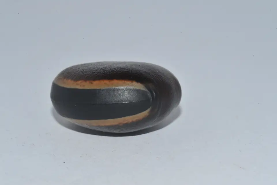 Mucuna elliptica (Mucuna elliptica)